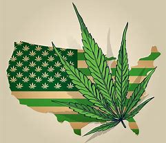 Top Marijuana Legalization Guide!
